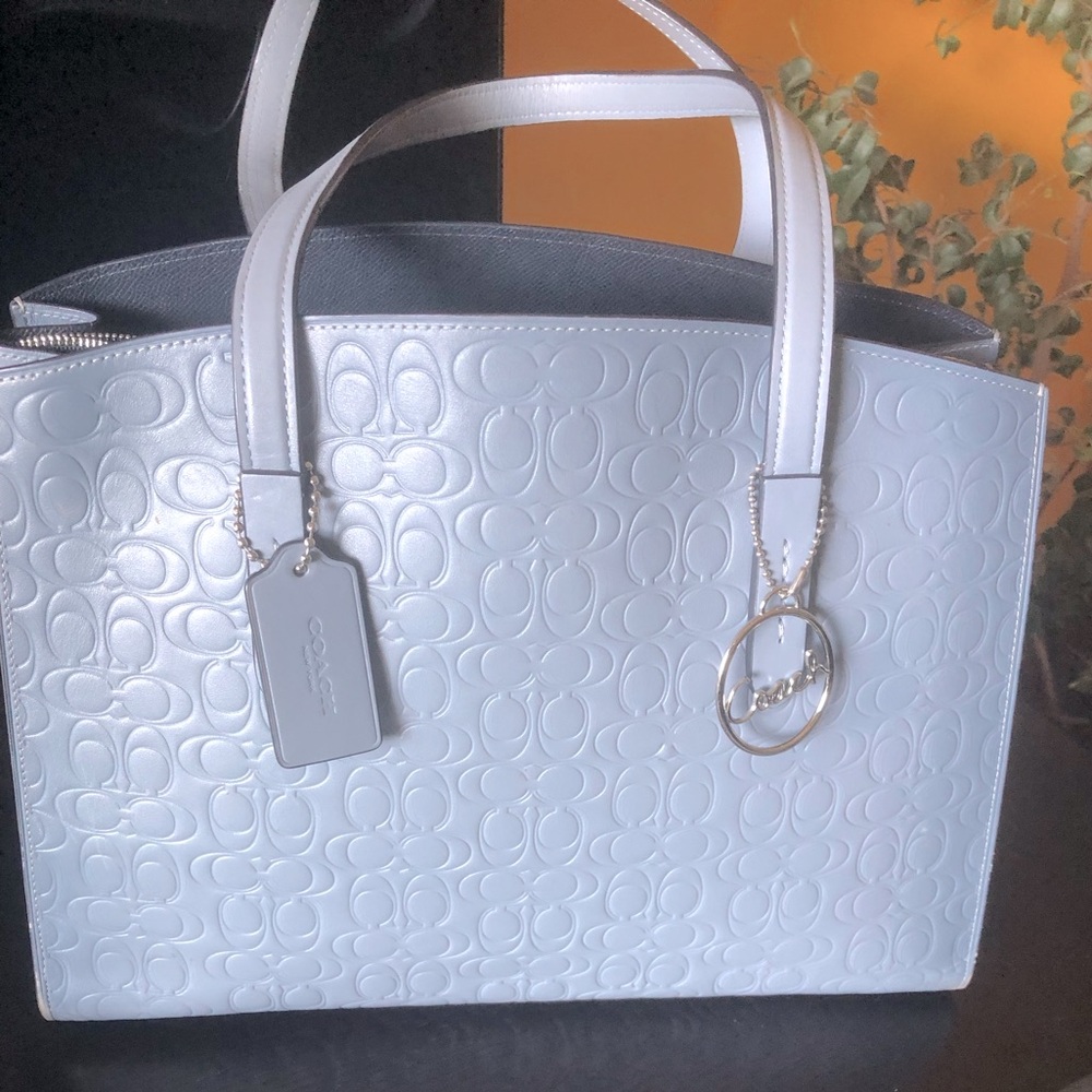 Coach Gray/Blue Embossed Calf Leather Handbag/Crossbody